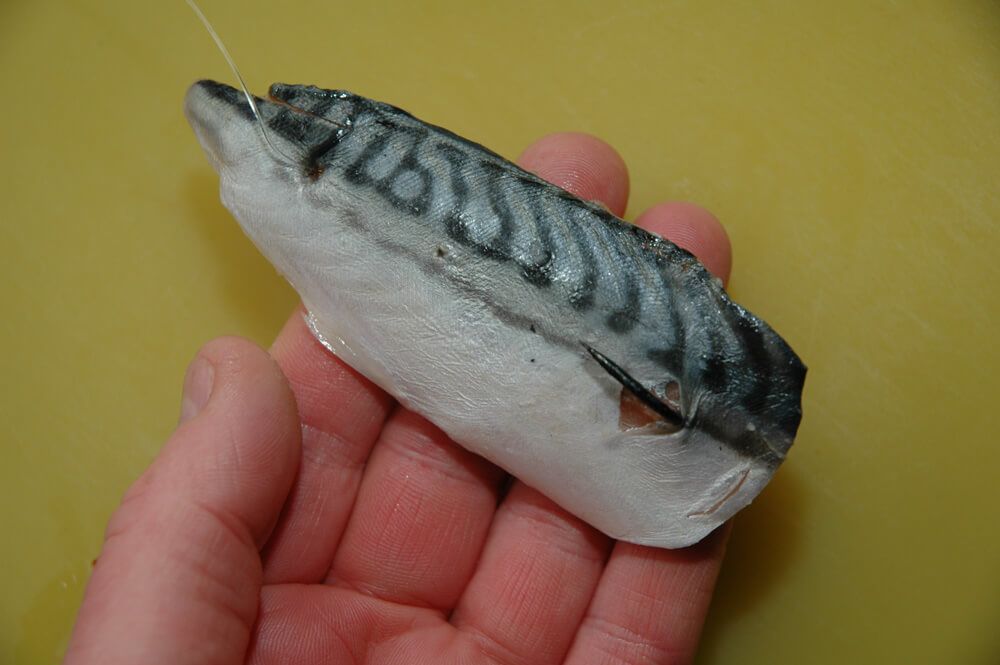 Mackerel baits  Talk Sea Fishing - Sea Angling Forums & Catch Reports
