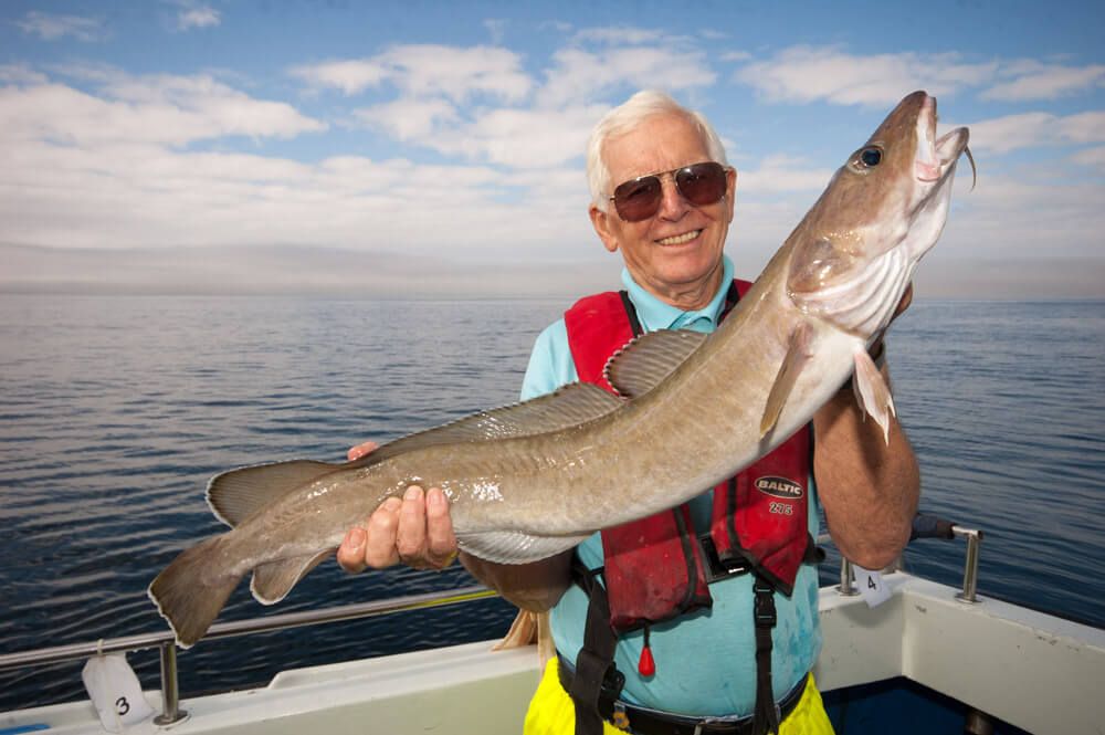 Cobh fishing delight!  Talk Sea Fishing - Sea Angling Forums & Catch  Reports