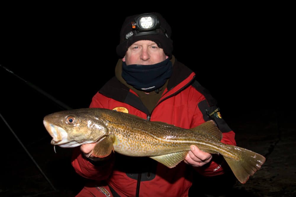 Norwegian shore caught cod