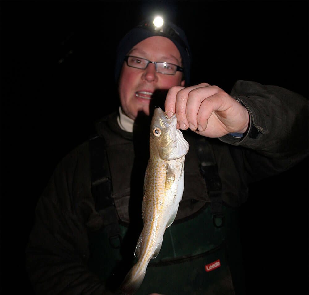A small codling for Mike Taylor