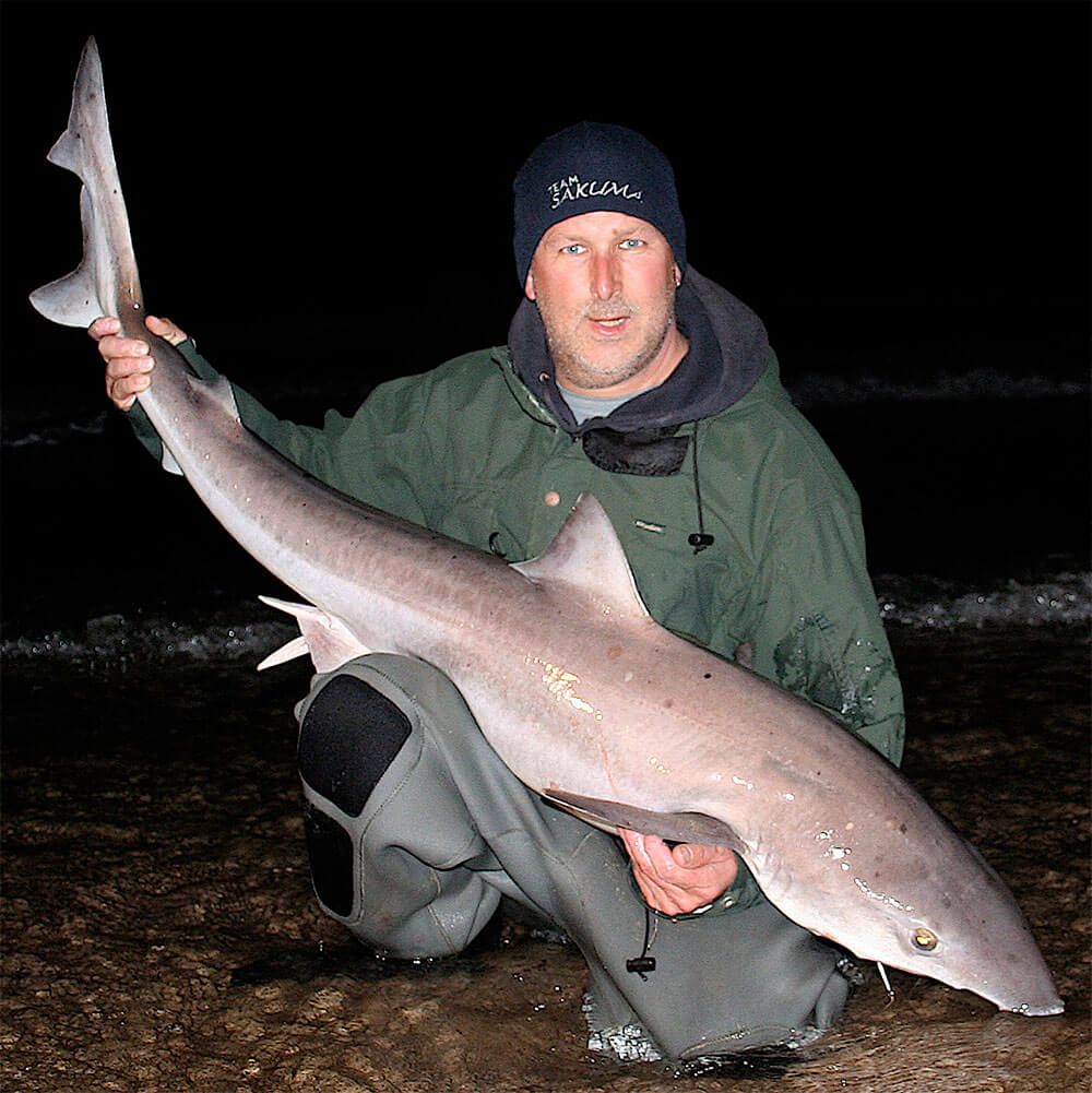 Kevin Legges winning Tope from 2009 - a magnificent shore caught tope that was released back alive