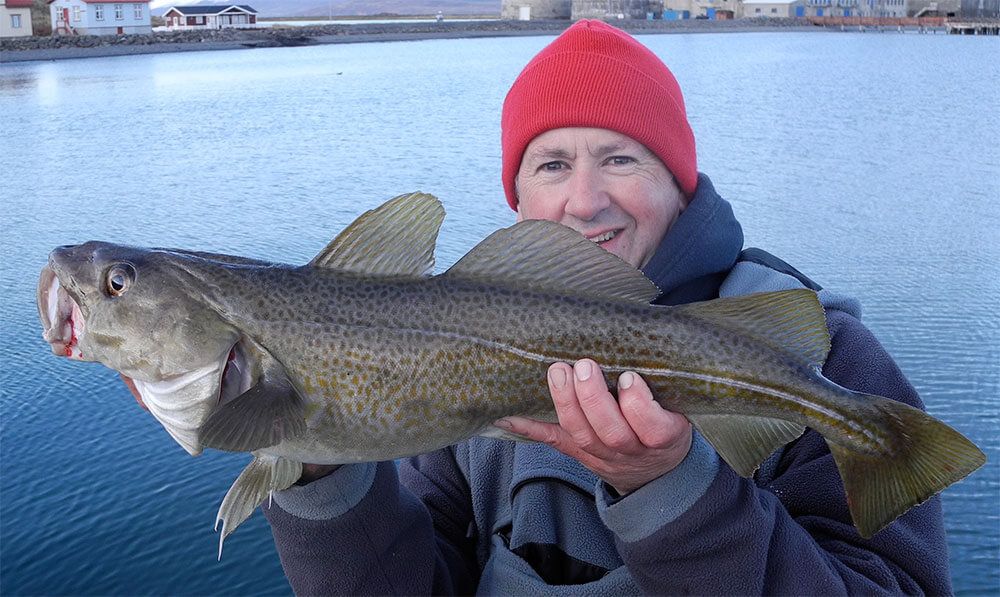 A cod of around 7lb