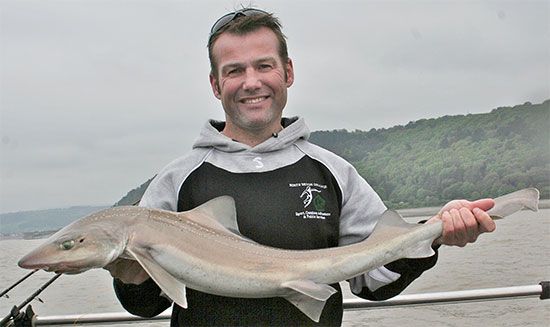 Chris Martin boated this cracking smoothhound