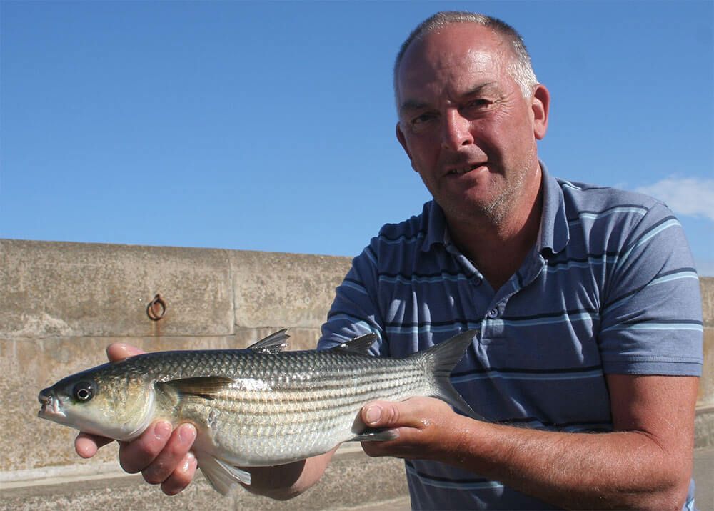 John Avery with a Sark harbour mullet