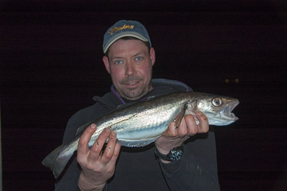 Nigel Gemmell with a cracking whiting of 2lb 12oz
