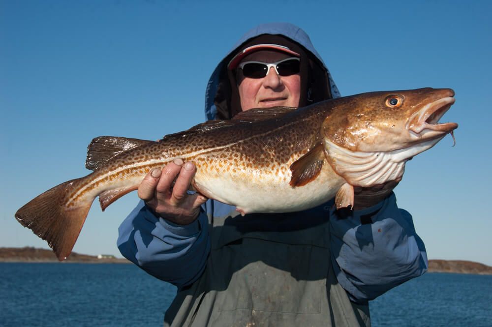 Ray Hutton with his 9lb cod