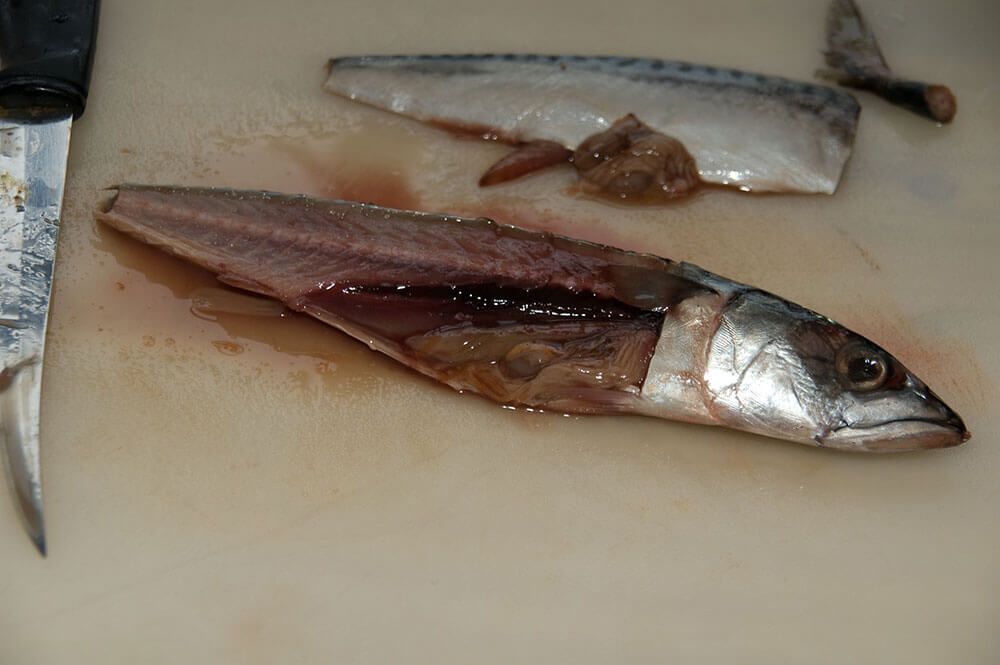 Half fillet mackerel