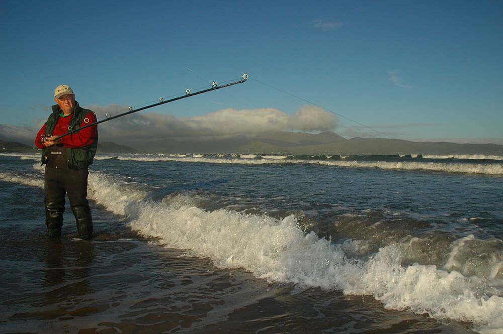 Shore surf bass fishing