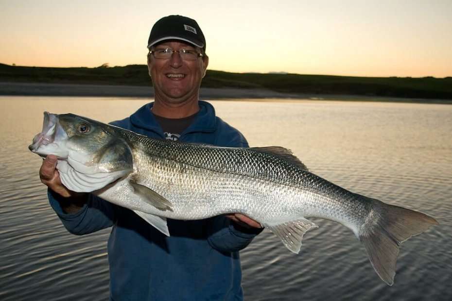 Fishing for Whiting Surprise: Blue Swimmer Crab Catch