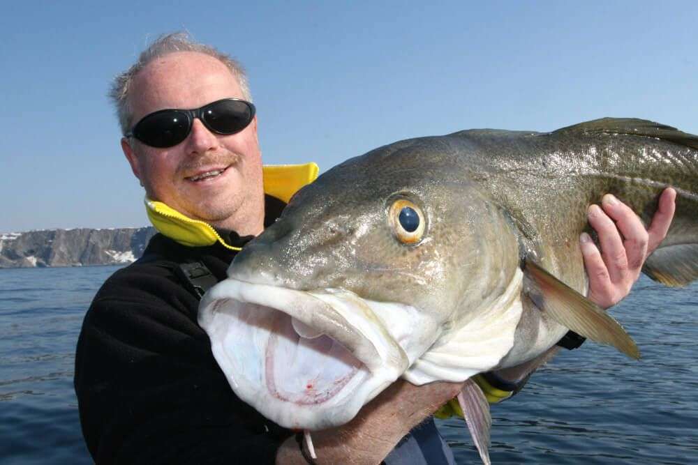 Help estimating fish weight - General Bass Fishing Forum - Bass Fishing  Forums