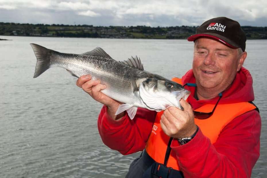 Mike's top six bass plugs  Talk Sea Fishing - Sea Angling Forums & Catch  Reports