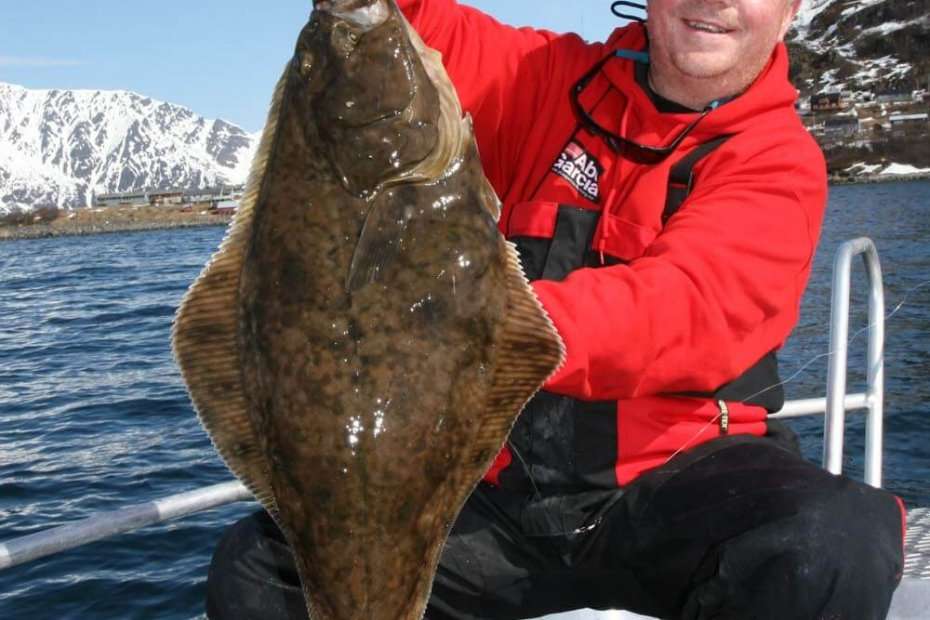 Surf Fishing For Big Halibut In Just Inches of Water!