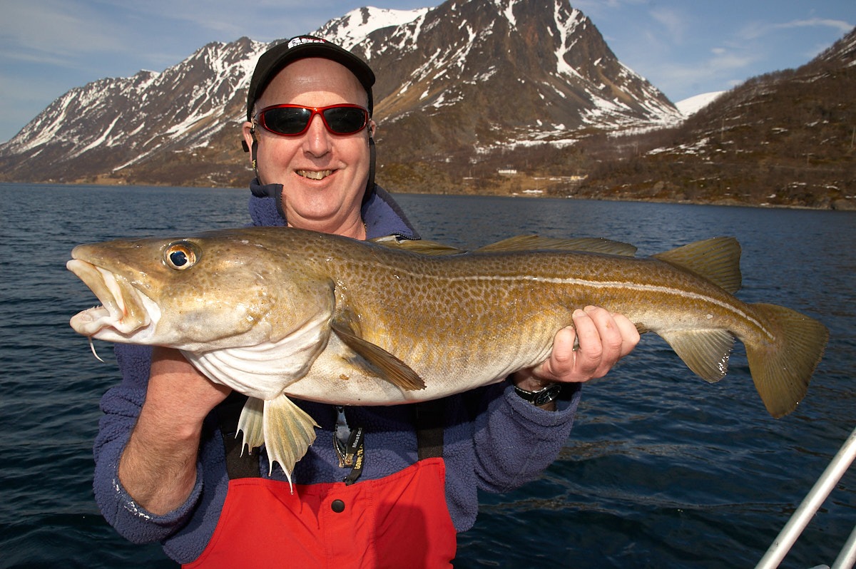 River Cod Fishing Tips - what makes a good fishing