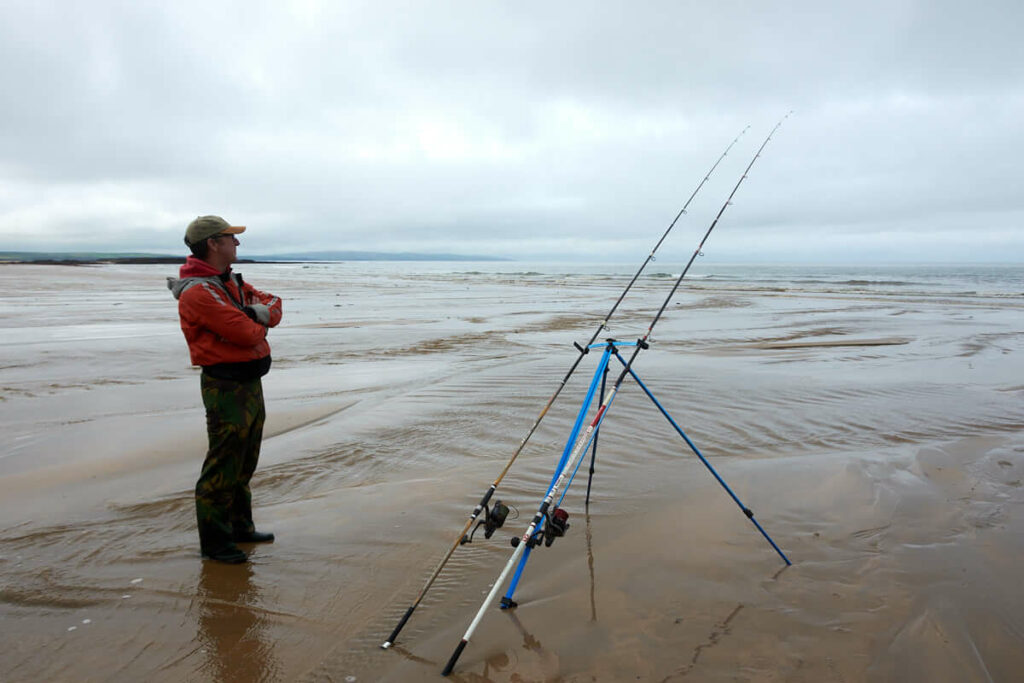 How to catch dabs  Talk Sea Fishing - Sea Angling Forums & Catch Reports